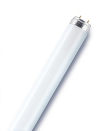 [tube fluorescent] Osram tube fluo.L 36W 840 cool white
