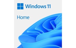 Microsoft Windows 11 Home ESD, 64 bits