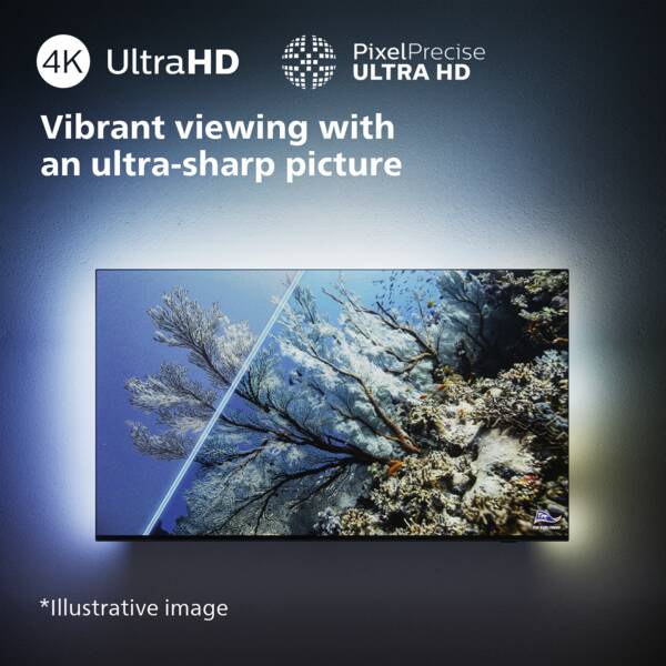 Télévision Philips en vente à Cossonay