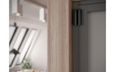 AJAX Baseline DoorProtect Plus Jeweller