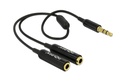 Delock Câble audio jack 3.5 mm, male – female, 0.25 m