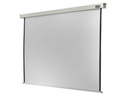 Celexon Écran mural motorisé Pro 270 cmx152 cm 16:9