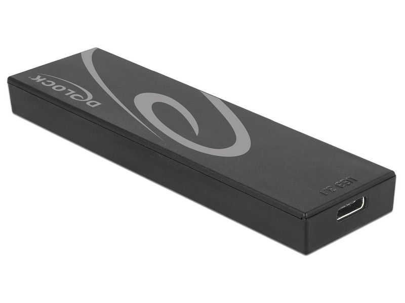 Delock Boîtier externe USB-C / SATA-SSD M2