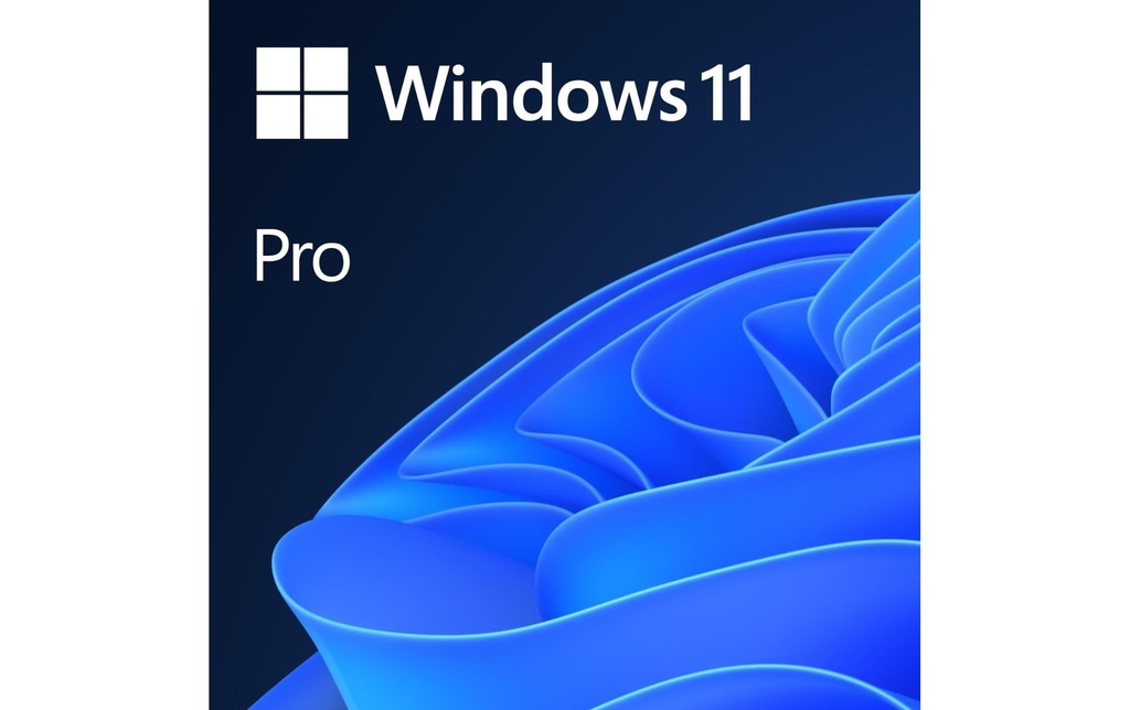 Microsoft Windows 11 Pro ESD, 64 bits