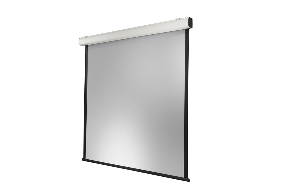 Celexon Écran mural motorisé Expert XL 350x350 cm 1:1